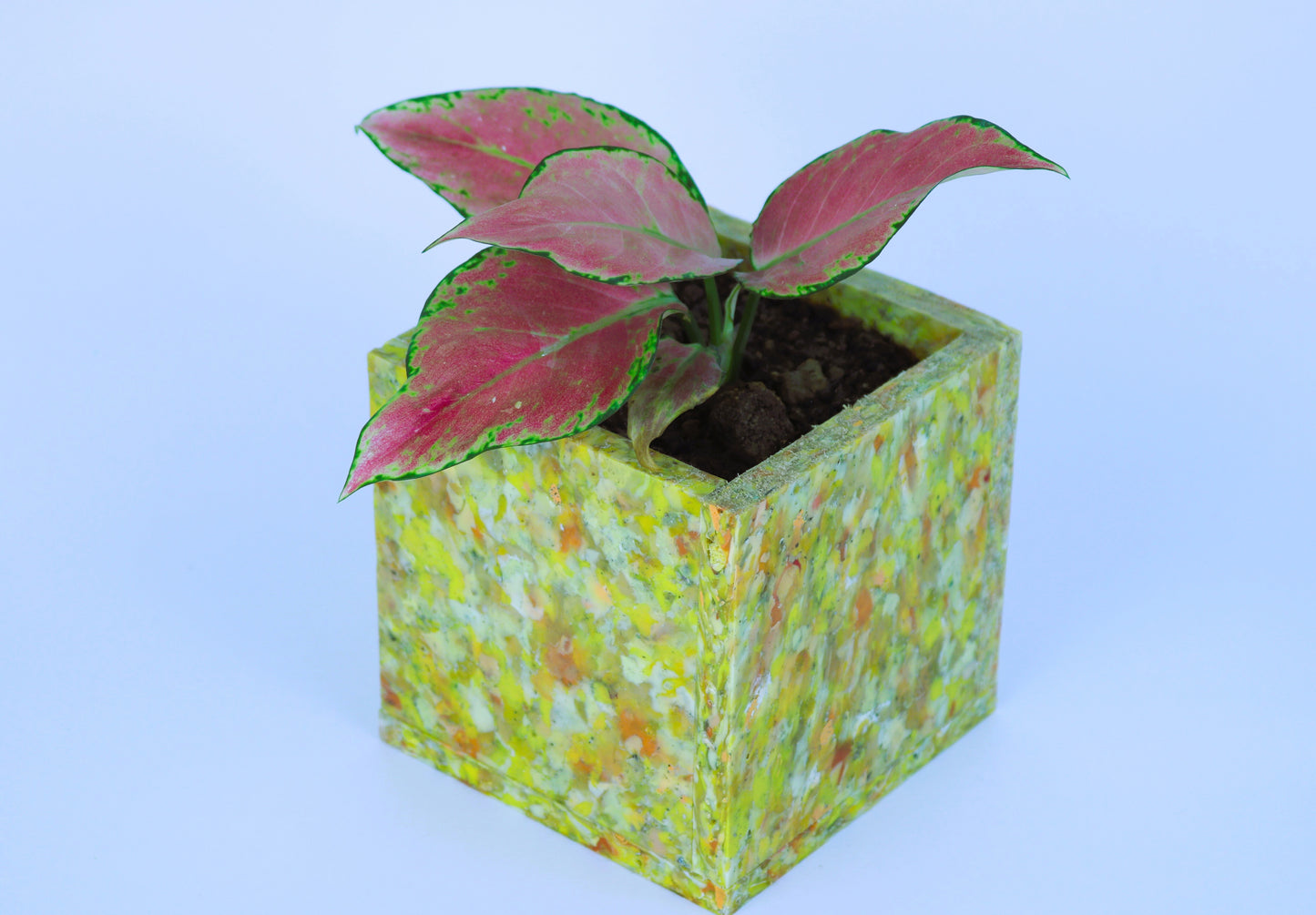 Planter (single compartment) - Durable, Stylish and Upcycled