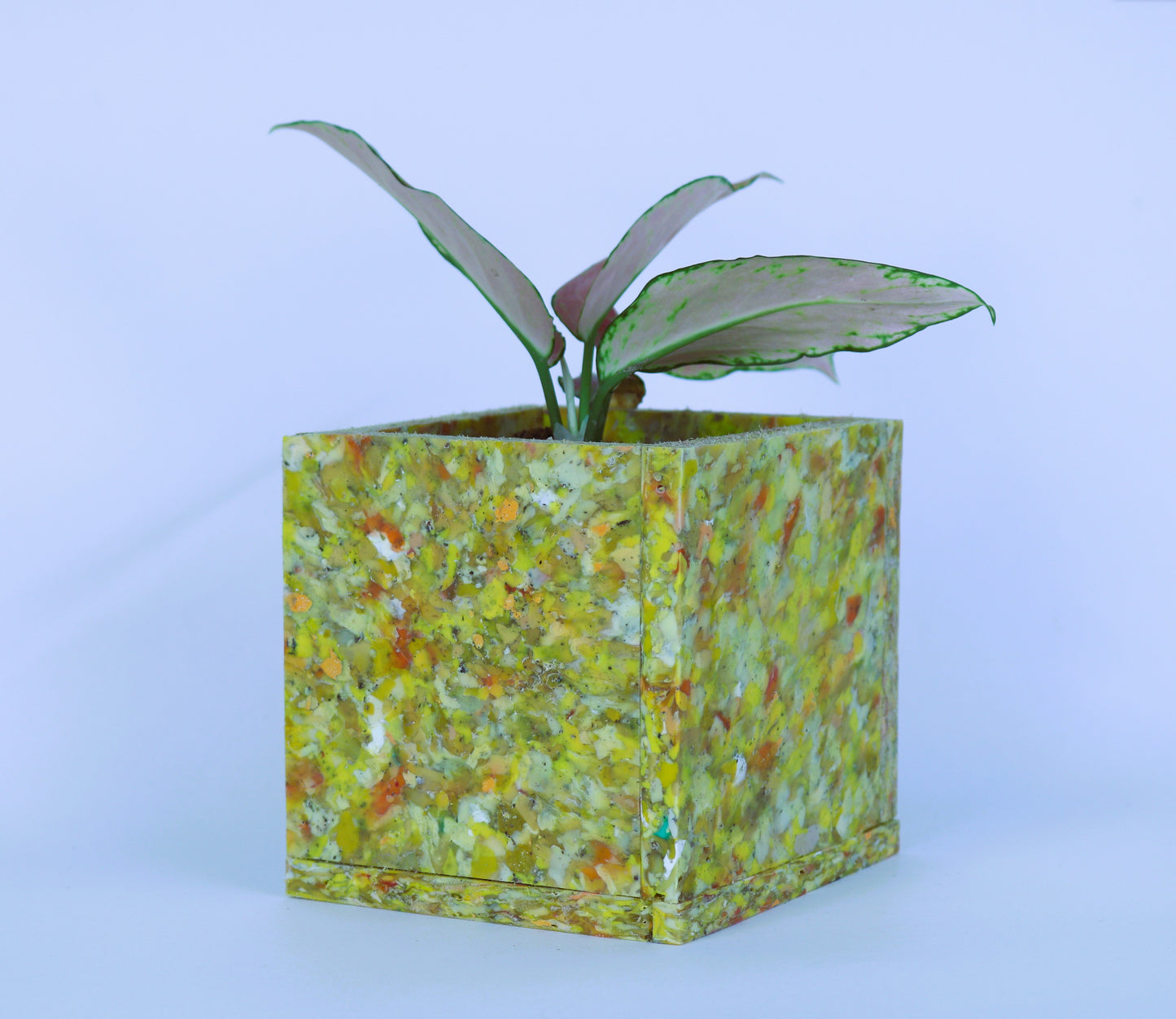 Planter (single compartment) - Durable, Stylish and Upcycled