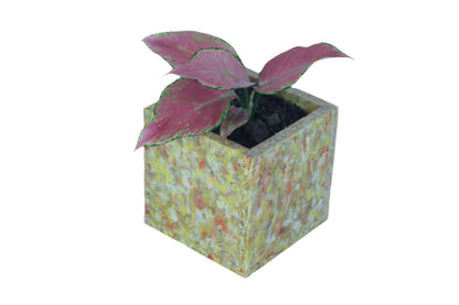 Planter (single compartment) - Durable, Stylish and Upcycled