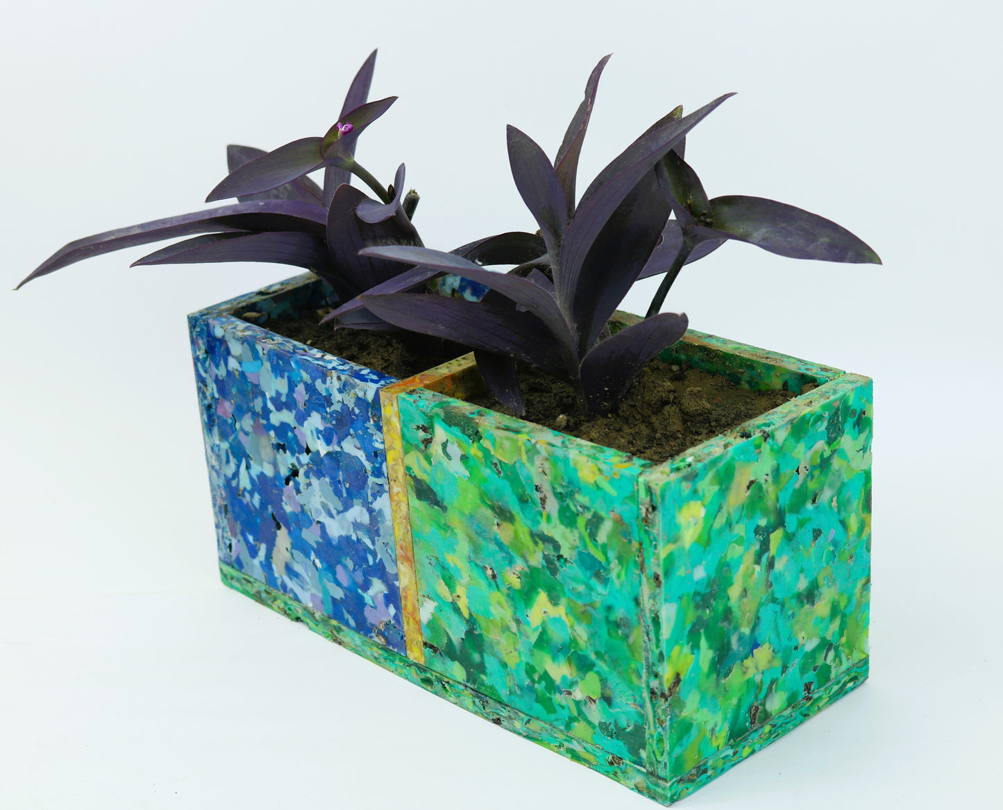 Planter (Dual Compartment) - Upcycled, Versatile and Eco-friendly