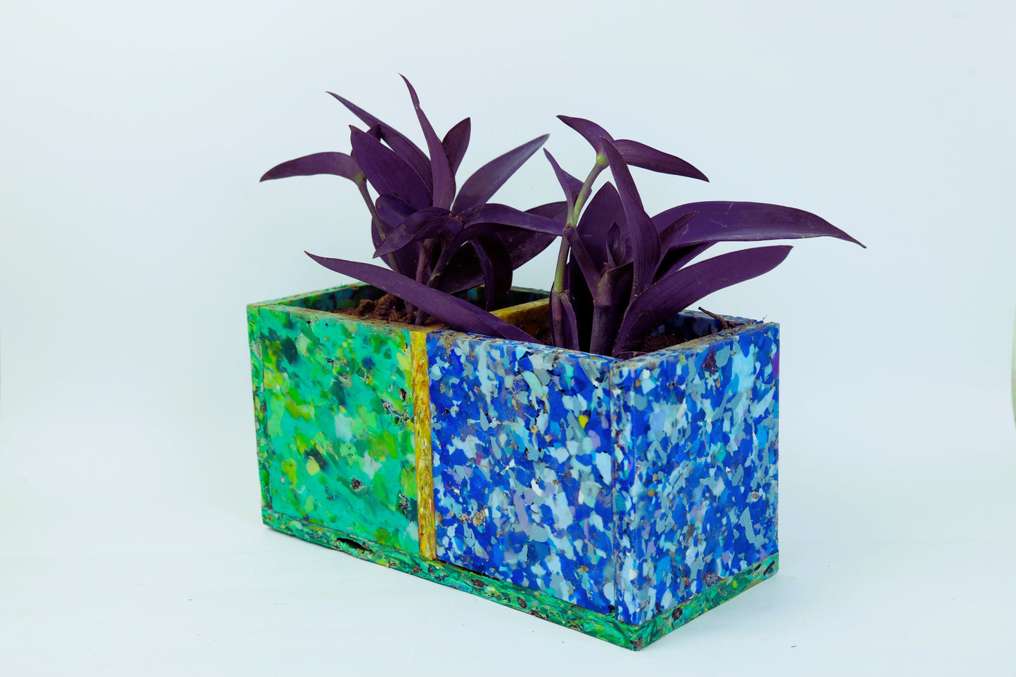 Planter (Dual Compartment) - Upcycled, Versatile and Eco-friendly